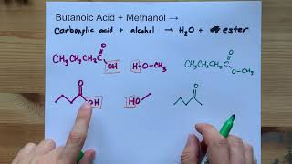 Butanoic Acid  Methanol  ESTER  water [upl. by Janetta]