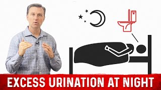 How to Fix Frequent Urination at Night Nocturia – Dr Berg [upl. by Ellita]