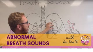 Abnormal Breath Sounds  Respiratory System [upl. by Mignon]