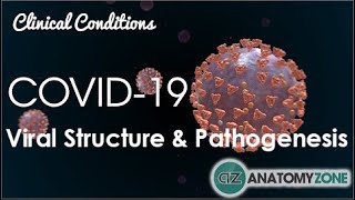 Coronavirus COVID19  Viral Structure amp Pathogenesis [upl. by Elletnahs]