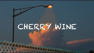 Hozier  Cherry Wine lyrics [upl. by Severen842]