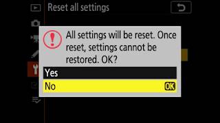 Nikon DSRL Full Factory Reset [upl. by Juni]