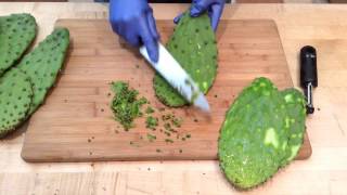 How to Prepare Nopales Cactus Pads  Sunset [upl. by Ylrebme]