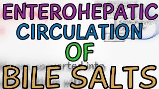 The Enterohepatic Circulation of Bile Salts [upl. by Terryn379]