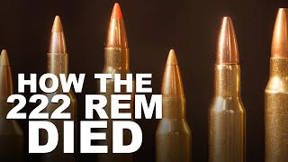 Cartridges That Killed the 222 Remington [upl. by Jacki54]