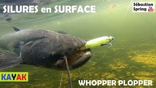 Session SILURES au Whopper Plopper 130 [upl. by Scheers]