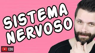 SISTEMA NERVOSO  FISIOLOGIA  Aula  Biologia com Samuel Cunha [upl. by Auqinahc]