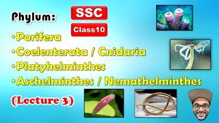 Animal Classification Lecture 3  Phylum 14  Class 10  SSC  Maharashtra state board [upl. by Davie637]