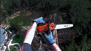 Echo CS2511T TreeWork Test [upl. by Conover106]