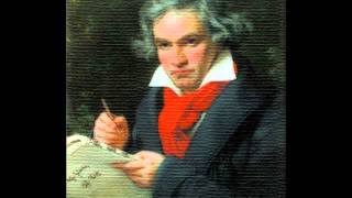 Ludwig van Beethoven  Symphony No 5 Full [upl. by Azenav750]