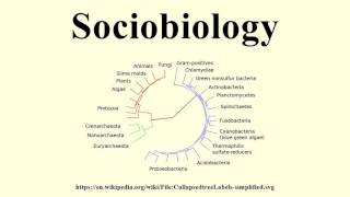 Sociobiology [upl. by Enelyk886]