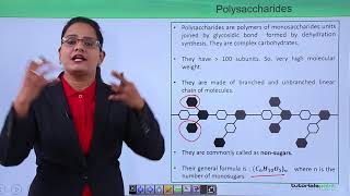 Biomolecules  Polysaccharides and their types [upl. by Heathcote]