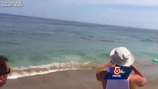 Video shows shark attack feet away from Cape Cod surfers [upl. by Audy]