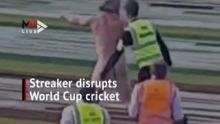 Streaker disrupts Cricket World Cup match [upl. by Nowujalo]