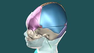 Hydrocephalus Repair [upl. by Etac]