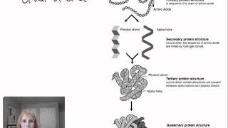 Protein Structure and Function  Part 1 [upl. by Rachel]