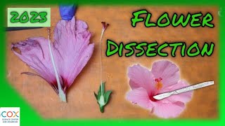 FLOWER DISSECTION Reproduction in Flowering Plants Virtual Lab  Virtual Science Shorts [upl. by Azitram371]