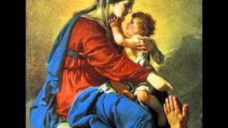 Salve Mater Misericordiae  Catholic Song of Praise to Mary [upl. by Groveman502]