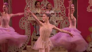 The Nutcracker Best Performances [upl. by Edelsten475]