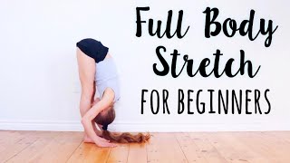 Beginner Stretches for Flexibility [upl. by Leta]