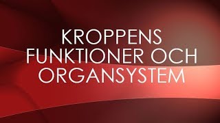 Människokroppen  organsystem [upl. by Komarek]