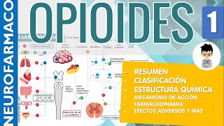 OPIOIDES ESCALERA TERAPEUTICA RESUMEN Clasificaciones Estructura Receptores Farmacología 1 [upl. by Kcinom716]