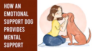 How an Emotional Support Dog Provides Mental Support [upl. by Kohcztiy]