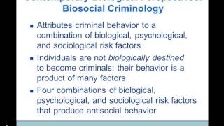 Theories of Criminology Dr A Black [upl. by Colligan]