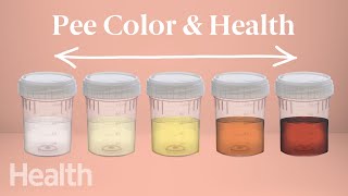 What Your Urine Color Says About Your Health  Urinary System Breakdown  DeepDives [upl. by Tavy]