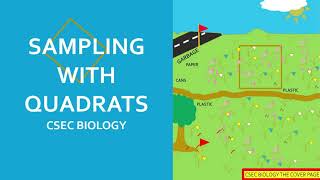 How to find species density [upl. by Parrish]