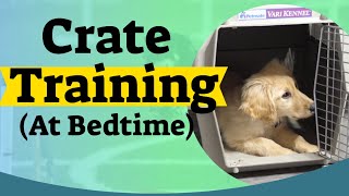 How to Crate Train A Puppy At Night  Crate training for puppies [upl. by Julia787]