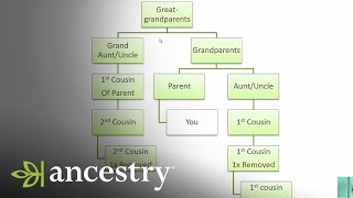 What is a First Cousin Once Removed  Ancestry [upl. by Uokes]