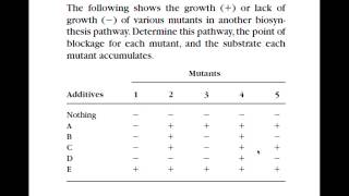 Biochem Pathway Analysis part 1 [upl. by Enitsenrae]