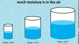 Relative Humidity vs Dewpoint [upl. by Wilkinson]