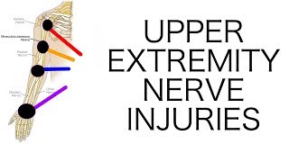 Upper Extremity Nerve Injuries [upl. by Hartman]