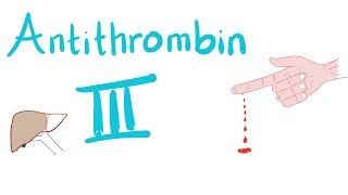 Antithrombin III  How Heparin Works [upl. by Sankey]