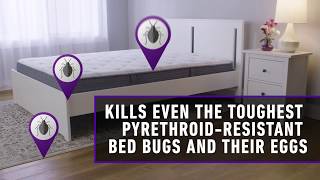 How to Use Ortho® Home Defense Max® Bed Bug Flea amp Tick Killer Trigger Sprayer [upl. by Heady]