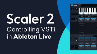 Scaler 2  VSTi Routing in Ableton Live  Quick Tip Tutorial [upl. by Mloc617]