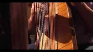 Carolans Dream  played on celtic harp [upl. by Vyse]