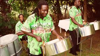 Native Steel Drum Band  Steel Drums [upl. by Danice]