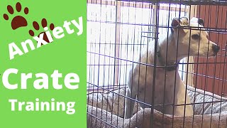 Crate Training for Your Dog  Separation Anxiety [upl. by Samau492]