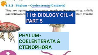 Class 11 BiologyCh4 Part5Phylum Coelenterata amp CtenophoraStudy with Farru [upl. by Eetsirhc765]