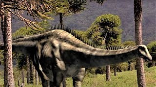 The Biggest Dinosaurs  Andys Prehistoric Adventures  Andys Amazing Adventures [upl. by Lana521]