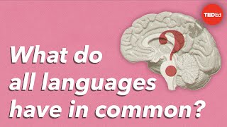 What do all languages have in common  Cameron Morin [upl. by Buehler208]