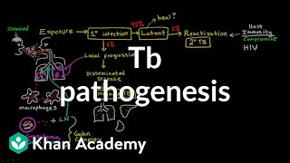 Tumour Markers  Tumour Markers Biochemistry [upl. by Ianteen90]