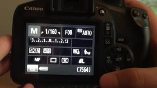 How To Connect Your Canon EOS Rebel T61300D To Your Computer [upl. by Bethel]