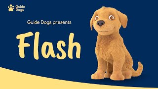 GUIDE DOGS  FLASH ANIMATION [upl. by Norrehs]