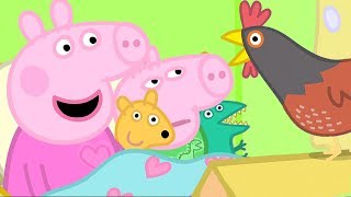 Peppa Pig Meets Granny Pigs Chickens  Peppa Pig Official Family Kids Cartoon [upl. by Allanson]