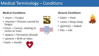 Medical Terminology  The Basics  Lesson 4 [upl. by Valeria346]