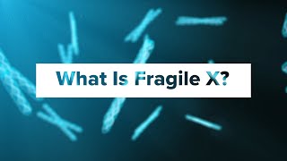 What Is Fragile X Syndrome [upl. by Ekusoyr]